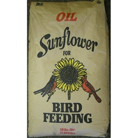 Shafer Black Oil Bird Feed - 50 Lbs.