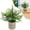 D, variant on 1PC Artificial Potted Plants, Realistic Faux Greenery in Cement Pots for Home Office Desk Bookshelf Decor, Small Fake Plants for Indoor Tabletop Decoration