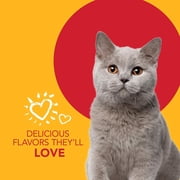 Petrodex Dental Care Kit for Cats, Malt Flavored Toothpaste