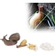 thumbnail image 5 of Modelo de ciclo de crecimiento de caracol, modelo de insecto de juguete, modelo de ciclo de vida, juguetes educativos de aprendizaje cognitivo para niños pequeños TUNC Sencillez, 5 of 5