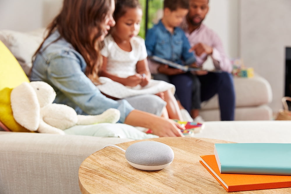 google home mini family