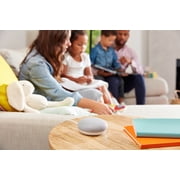 Google Home Mini (Gen. 1)