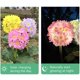 thumbnail image 2 of Luz solar para jardín, fibra óptica, patio, iluminación de paisaje, impermeable, enchufable, para camino de césped, paquete de 2, margarita amarilla, diente de león, estaca de flores LED, 2 of 5