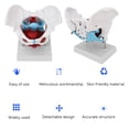 thumbnail image 4 of Modèle d'Anatomie du Bassin Féminin, Haute Simulation Modèle de Bassin Féminin Coloré Structure Claire pour la Démonstration pour l'Enseignement Auxiliaire, 4 of 8