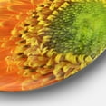 thumbnail image 3 of Designart - Yellow Daisy Gerbera Flower Close up' Disc Flowers Large Metal Circle Wall Artwork, 3 of 4