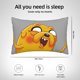 thumbnail image 4 of Funda de almohada rectangular de Hora de aventuras, suave y acogedora, con cremallera oculta, para cama, sofá, decoración del hogar, 20 x 30 pulgadas, 4 of 8