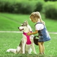 thumbnail image 3 of PoyPet Dog Harness Adjustable Soft Breathable Mesh Pet Harness No Pull Choke-Free, Fuchsia S, 3 of 8