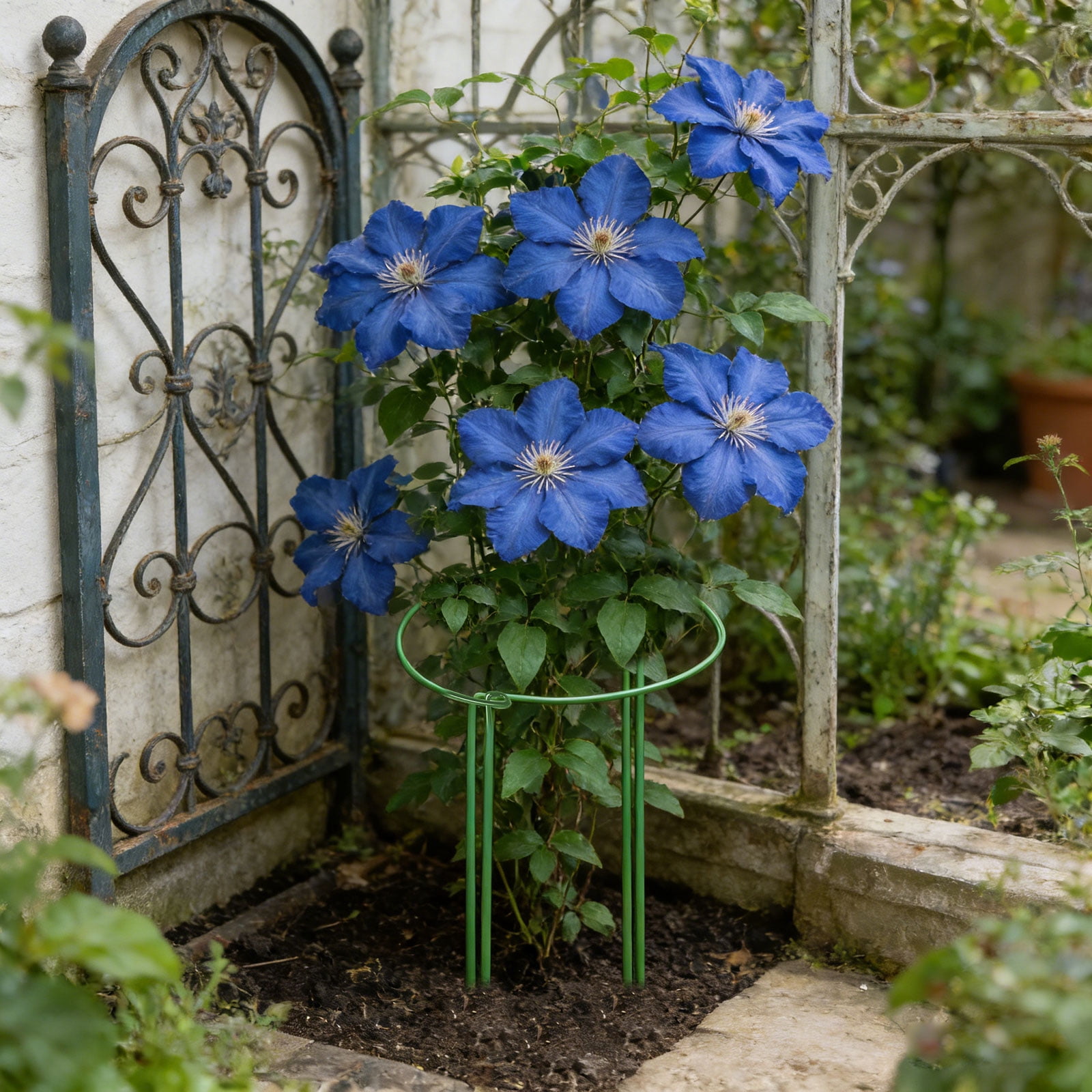 12pcs Plant Support Stakes, TSV 10" W x 16" H Half Round Peony Cages and Supports, Metal Plant Stakes for Indoor and Outdoor Plants, Plant Holders, Tomato Monstera Hydrangea Support Cage
