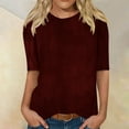 thumbnail image 2 of Women's Velvet Solid Color Half Sleeve Round Neck Casual T-Shirt Pullover Blouse, Soft and Stylish Velvet Fabric, Versatile Spring and Summer Top for Daily Wear and Casual Outings, 2 of 6