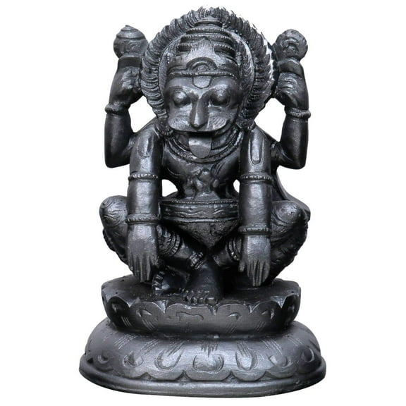 Sri Krishna Culture- Large Narsimha Deva & Laxmi Ji On Lotus Base-Hindu God and Goddess Idol/Statue/Murti/Figurine(4.5")-Polyster Resin-Black