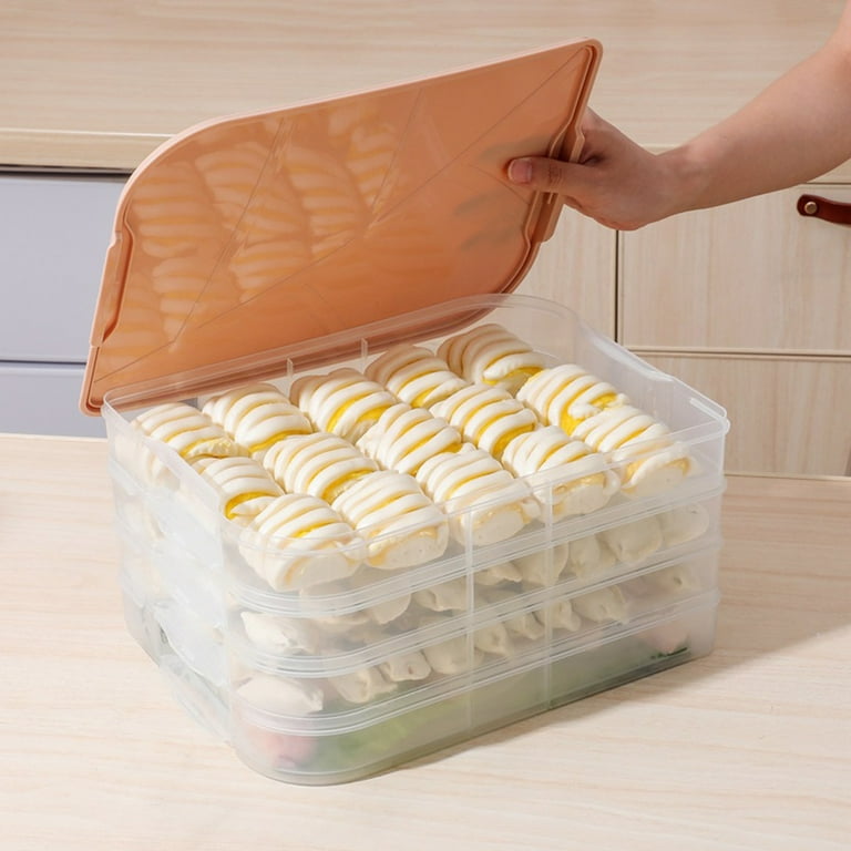 Travelwant Flat Plastic Box for Kitchen for Kitchen&Refrigerator  Organization, Transparent Food Storage Container for Kitchen, Fridge,  Freezer