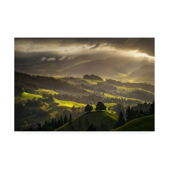 Trademark Fine Art 'The Shire Light' Canvas Art by Enrico Fossat