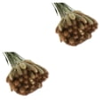 thumbnail image 2 of Bewildely 60 unids/set flores secas decoración natural, 2 of 6