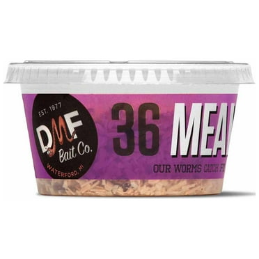 DMF Bait Co. Meal Worms, Live Fishing Bait, 36 Count
