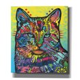 thumbnail image 1 of Epic Graffiti 'Solo' by Dean Russo, Canvas Wall Art, 26"x30", 1 of 8