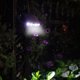 thumbnail image 5 of NUEVA luz solar al aire libre sensor de movimiento impermeable jardín LED lámpara solar focos para jardín camino calle luz de pared led Iluminación y accesorios Weißes Licht der schwarzen Muschel Bewildely HA005470-01B, 5 of 6