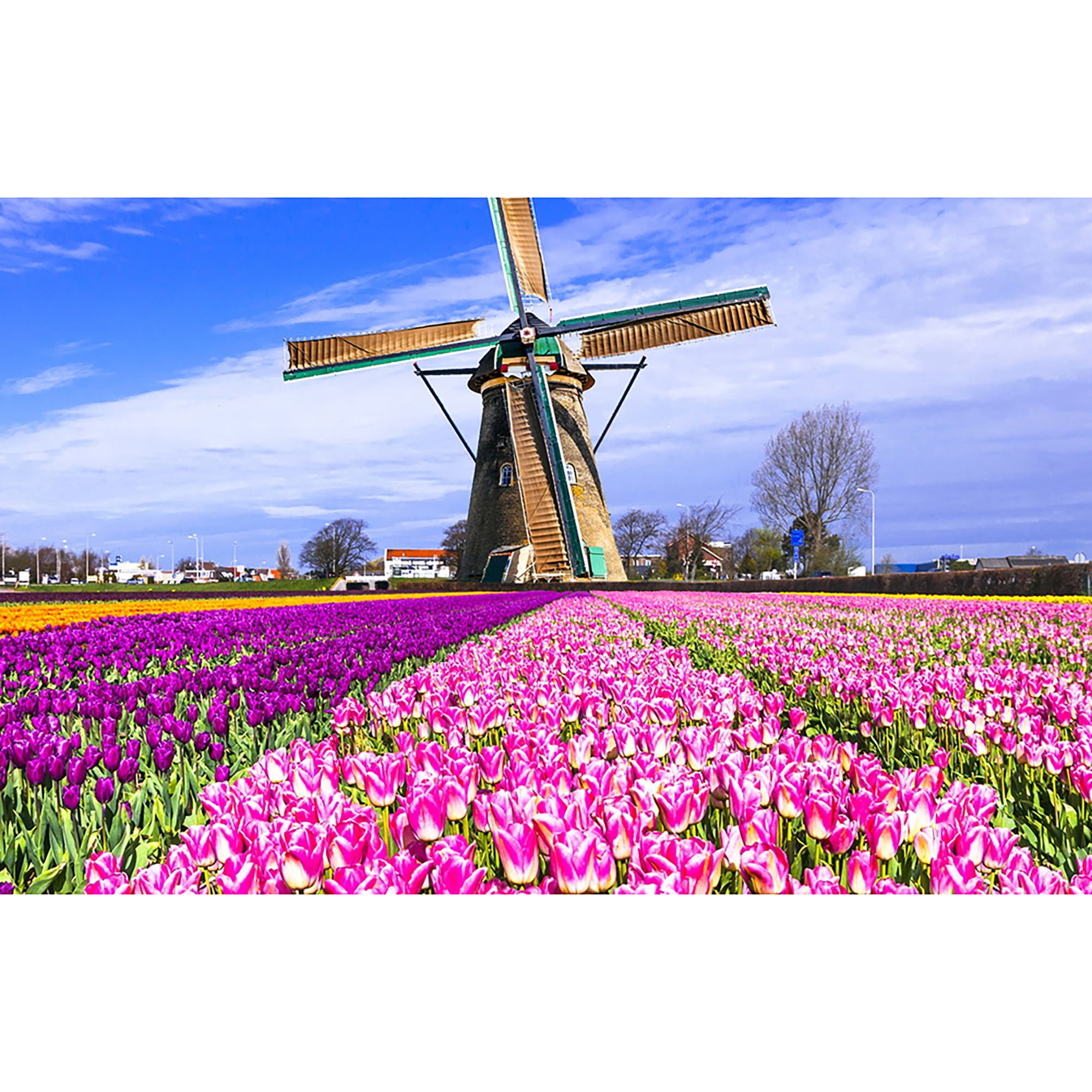 5d Diamond PAINTING KIT DIY Windmill Tulips FULL round Drill Mosaic Picture 