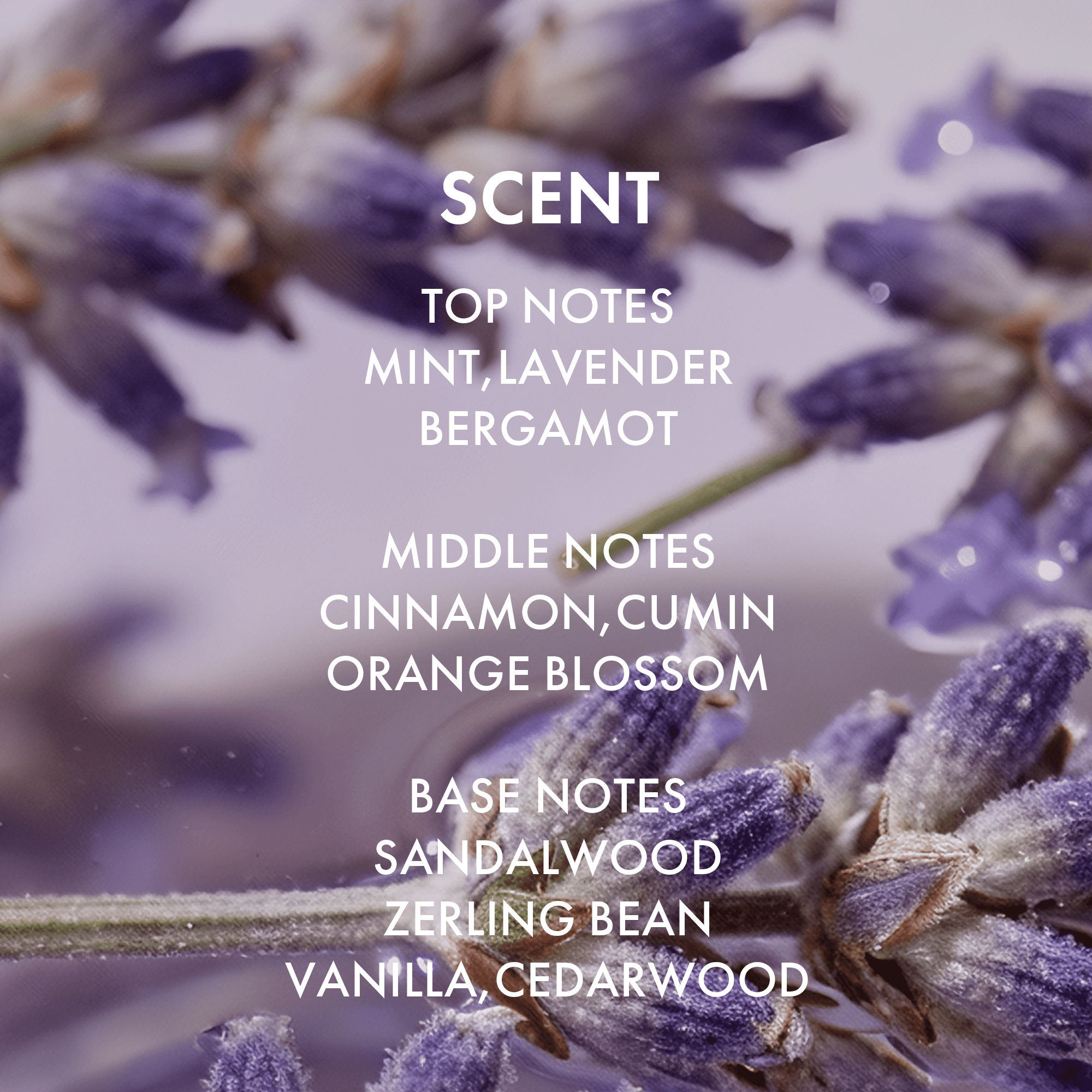 Alfheim Lavender+ Purple Conditioner 33.8oz – Tones Blonde & Silver Hair, Deep Nourishment & Shine with Lavender Oil & Vitamin E – Color-Safe Hydrating Formula