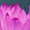 Hot Pink Lotus, variant on Elephant Stock Pastel Blue Dahlia Wall Art - Horizontal Canvas Wall Art - Living Room Wall Decor - Floral And Botanical Canvas - Blue And White Decor - 51" x 34"