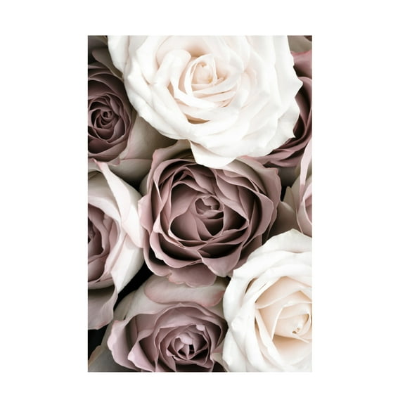 Pictufy Studio III 'Roses' Canvas Art - 12 x 19 Inches