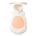 thumbnail image 4 of CUZIBR Girls Kids Baby Easter Romper Outfits Fuzzy Adorable Bunny Shap Long Sleeve Crewneck Jumpsuit Bodysuit With Hat Two Piece Cute Fashionable Character Photoshoots Clothes Sets,White,6-12 Months, 4 of 6