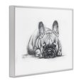 thumbnail image 3 of Stupell Industries Shabby Chic French Bulldog Naptime White Framed Giclee Art, 30 x 24, by Lindsay Kivi Fine Art, 3 of 8
