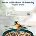 thumbnail image 2 of Comedero para aves SOLIOM BF08 con cámara IA solar de 2,7 L y 2K, 2 of 7