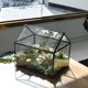 thumbnail image 3 of Terrario de vidrio para plantas YIMORENCE en forma de casa en V con tapa abatible, 3 of 7