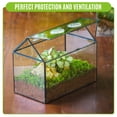 thumbnail image 4 of NCYP Glass Terrarium with Lid, Ventilation Holes for Indoor Plants, Succulents, Cactus, House-Shaped Clear Box, Terrarium Only, 4 of 10