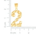 thumbnail image 2 of 10k Yellow Gold Unisex Sport game Number 2 Nugget Charm Pendant Necklace 26.4x12mm Wide Pendant for Women, 2 of 2