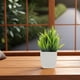 thumbnail image 1 of Moluckfu 4Ud Bonsái Artificial En Maceta Para Interior Verde Sin Mantenimiento, 1 of 8