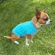 thumbnail image 3 of Ropa Suéter Tejido Perro Chico, 3 of 5