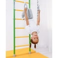 thumbnail image 1 of Comet Jungle Gym, 1 of 9