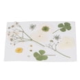thumbnail image 4 of Flores prensadas secas, marcapáginas de flores artesanales, flores naturales, fundas de teléfono, flores prensadas, especímenes de plantas de flores secas, 4 of 8
