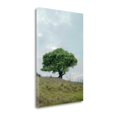 thumbnail image 2 of Tangletown Fine Art Oak Tree - 80 By Alan Blaustein,  Gallery Wrap Canvas, 2 of 2