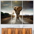 thumbnail image 1 of Design Art Single Walking Elephant Photography Canvas Art Print, 1 of 3