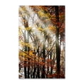 thumbnail image 2 of Trademark Fine Art "Just the Light" Canvas Art by Philippe Sainte-Laudy, 2 of 4