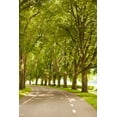 thumbnail image 2 of Millet, Karyn 11x14 White Modern Wood Framed Museum Art Print Titled - Road Through the Grove, 2 of 4