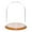 Oak Veneer Base, variant on Plymor 11.75" x 15" Glass Display Dome Cloche (Walnut Veneer Base)