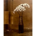 thumbnail image 3 of Gauthier, Jan 12x14 Black Modern Framed Museum Art Print Titled - Night Flower, 3 of 5