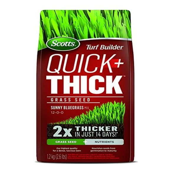 Scotts Turf Builder Quick + Thick Grass Seed (Sunny Bluegrass) 1.2kg (12665), Green