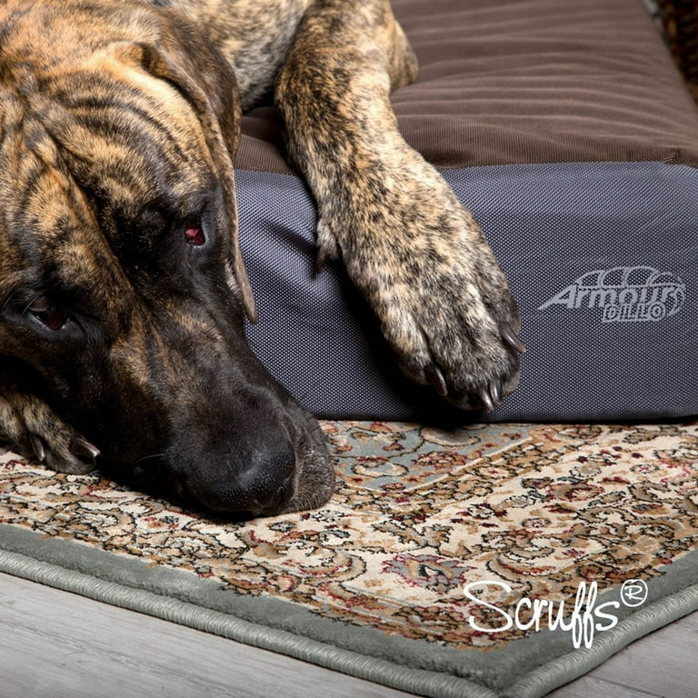 Scruffs armadillo bed 2025