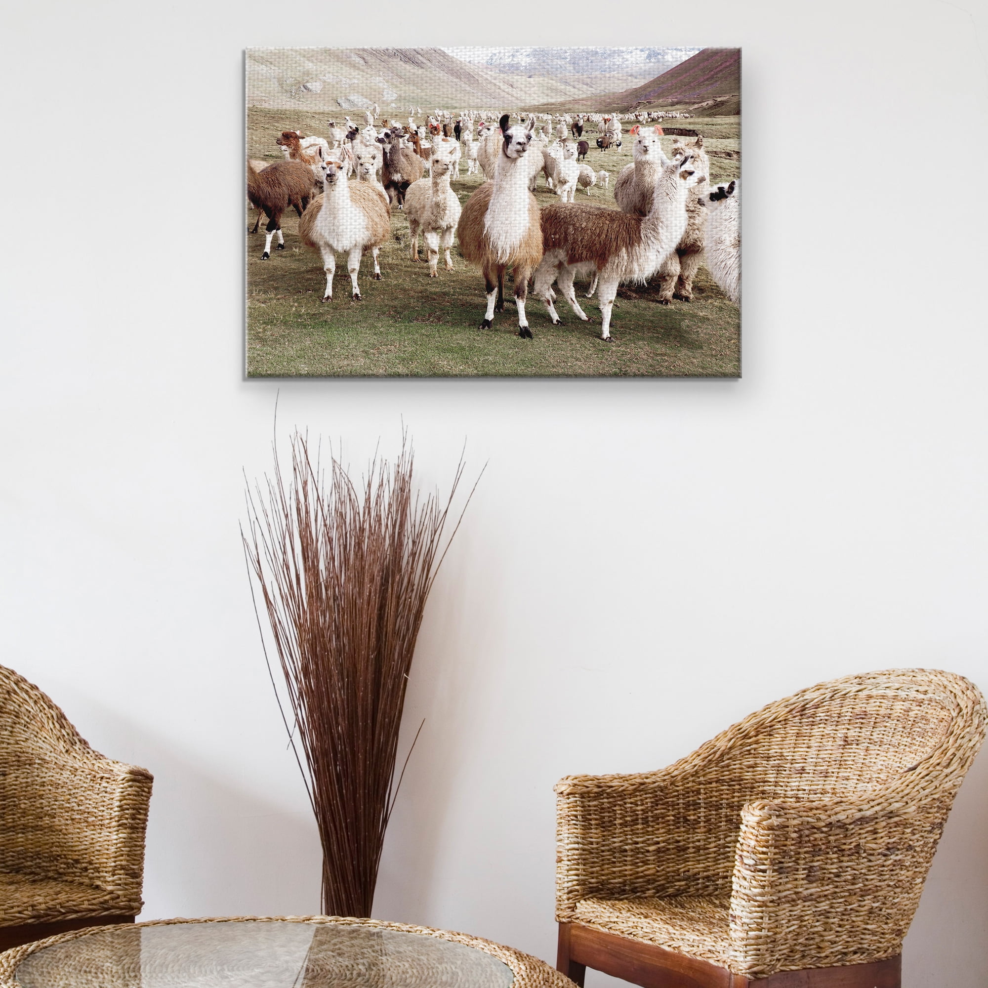 Masterpiece Art Gallery Whole Lotta Llamas by Belle Maison Canvas Art Print 24" x 36"