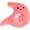Pink, variant on Stuffed Stomach Shape Headwear Cute Plush Organ Hat Cartoon Headgear Cap for Photo Props Party