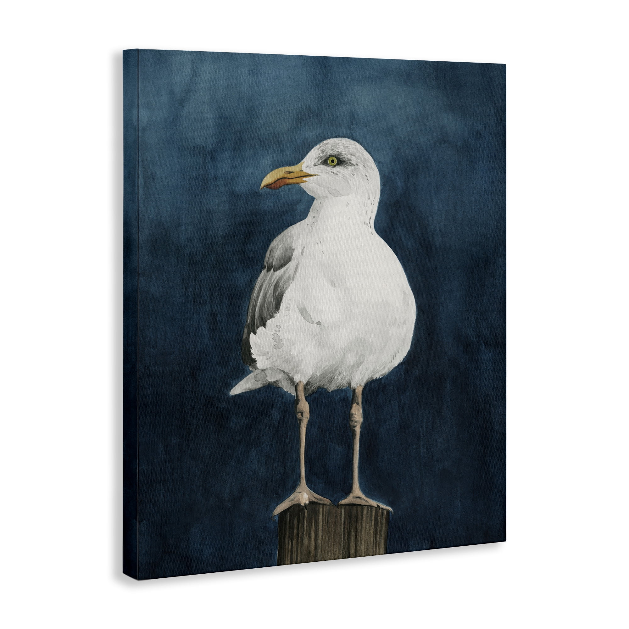 Stupell Industries Perched Coastal Bird Animals Painting Wrapped Canvas Art Print Wall Art, 36 x 48