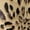 Leopard Prints, variant on SCRAWLGOD Pumpkins Cardigan Jacket for Women Lightweight Graphic Sweatshirts Size S Long Sleeve Ladies Cardigan Stretchy Womens Sweater Jacket for Thanksgiving Fall