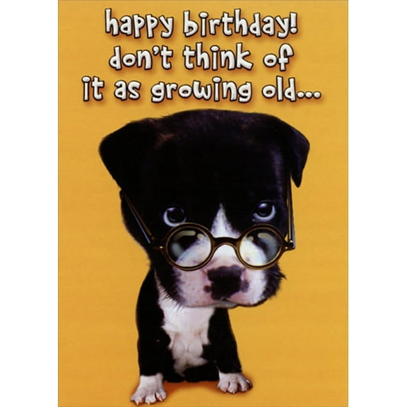 Designer Greetings Dog Wears Glasses on Tip of Nose Funny : Humorous Over the Hill Insult Birthday Card for Him : Man : Men
