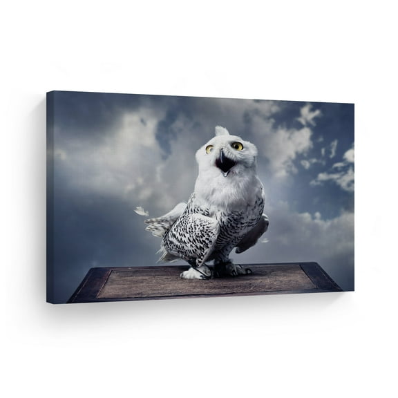 Smile Art Design Cute Smiling Owl with Sky Wild Animal Canvas Wall Art Print Nature Safari Exotic Wildlife Office Living Room Bedroom Bathroom Kids Baby Nursery Room Decor - 30x40