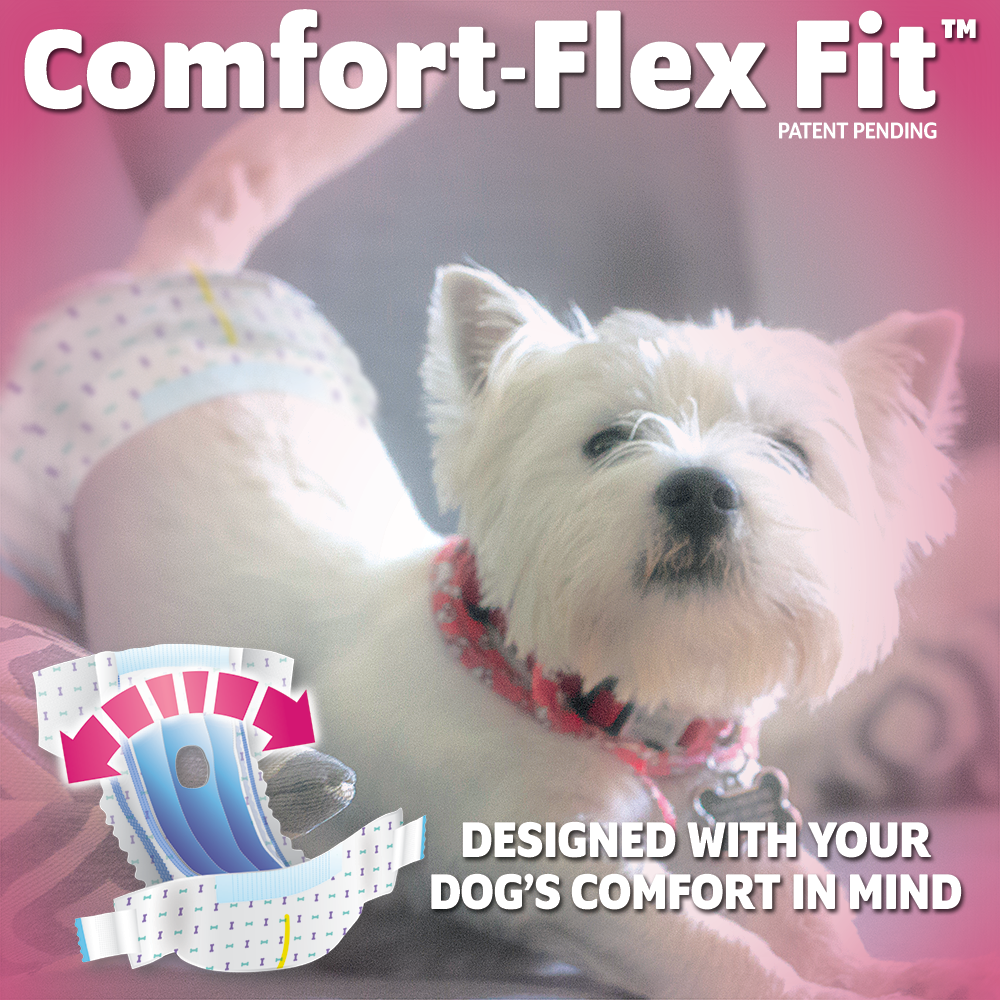 OUT! Petcare Disposable Female Dog Diapers, Absorbent Leak Proof Fit, XS/Small, 16 Count - image 3 of 9
