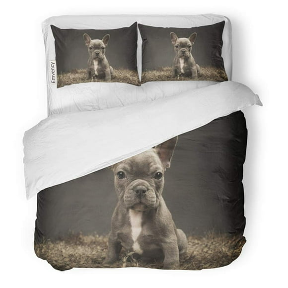RYLABLUE 3 Piece Bedding Set Bulldog Baby French Bull Dog Blue Frenchie Puppy Twin Size Duvet Cover with 2 Pillowcase for Home Bedding Room Decoration